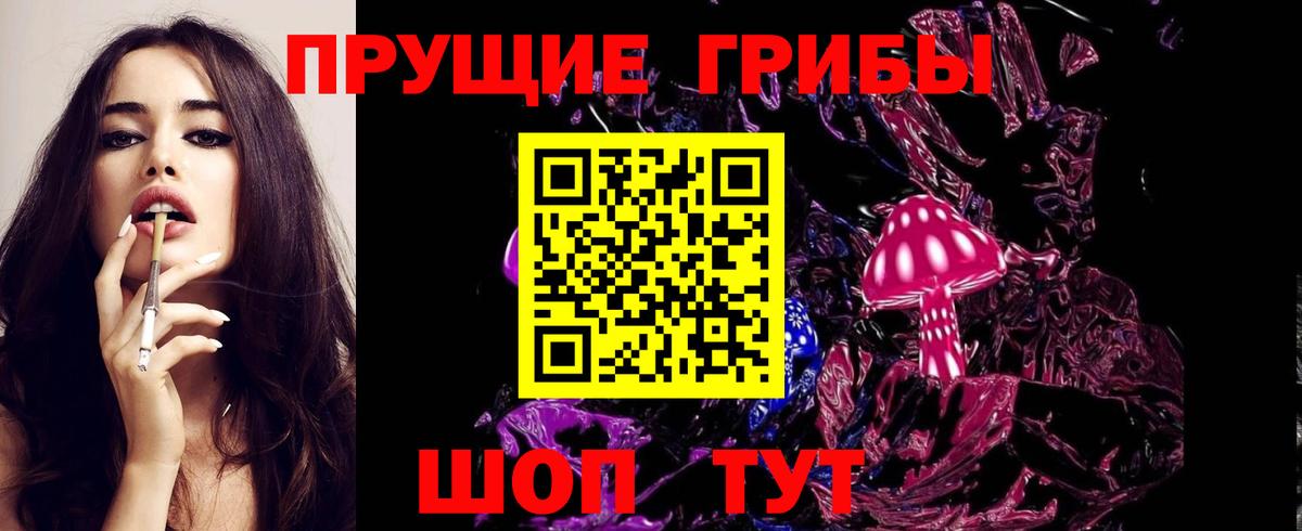 Топки  Псилоцибиновые грибы Psilocybe  Вход с VPN  Псилоцибиновые грибы Psilocybe 