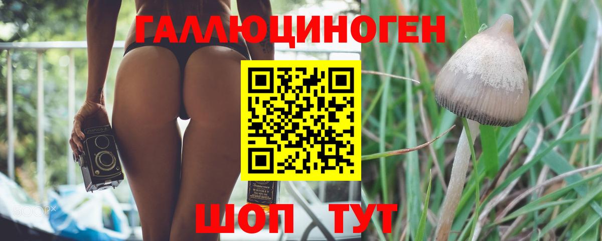 Галлюциногенные грибы GOLDEN TEACHER Топки